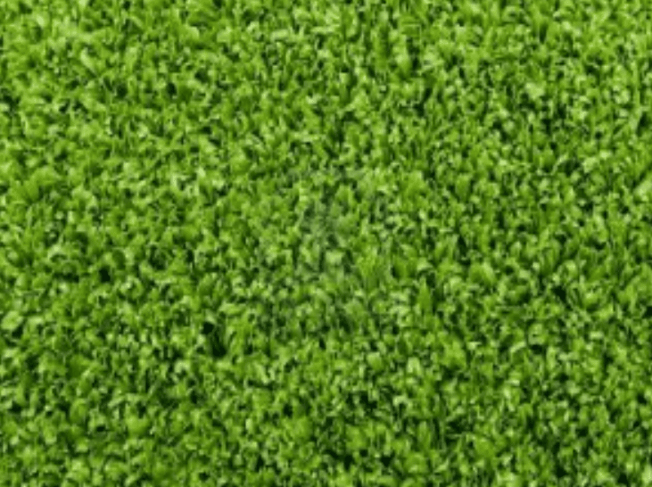Buyers Guide to Artificial Grass
